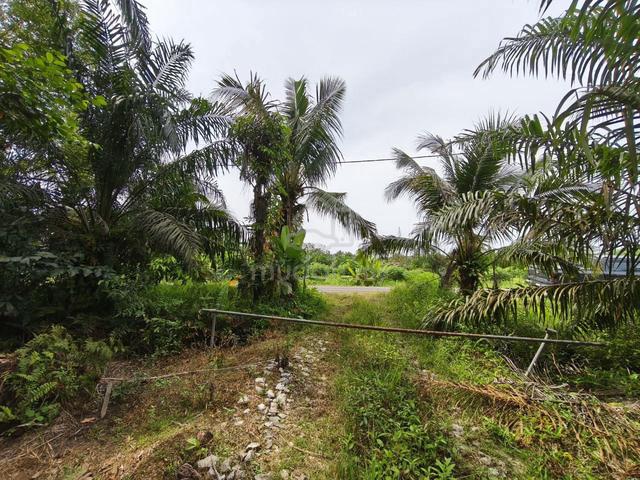 Parit Kudus @ Pontian Agriculture Land 1