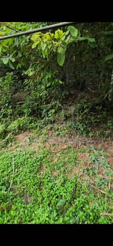 Tanah bersebelahan Jalan di Tg Ipoh 1