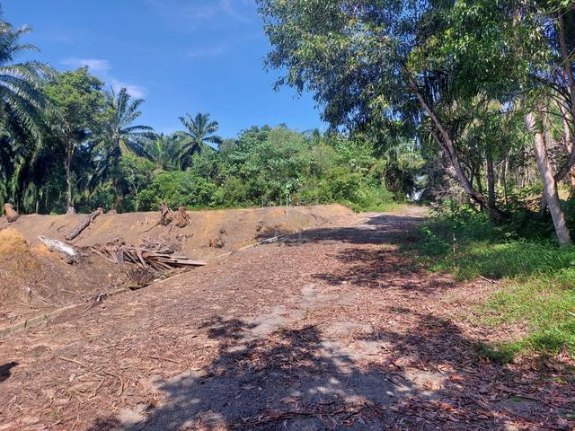 OFFER 5414 SF [LOT BANGLO] Bukit Damar CYBERJAYA 1