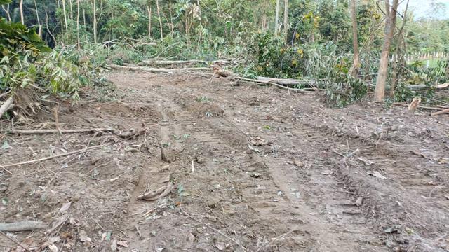 Lot 370 Mukim Taboh Naning Kg Ulu Kemus Afamosa Alor Gajah 2