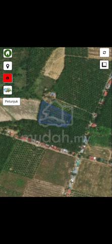 TANAH SAWIT UNTUK DIJUAL DI AREA GURUN(Batu 3) 1