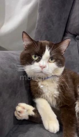 Carousel Image Selected