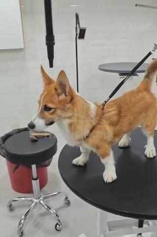 Carousel Image