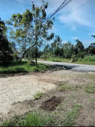 Tanah 1 Ekar Senggarang 1