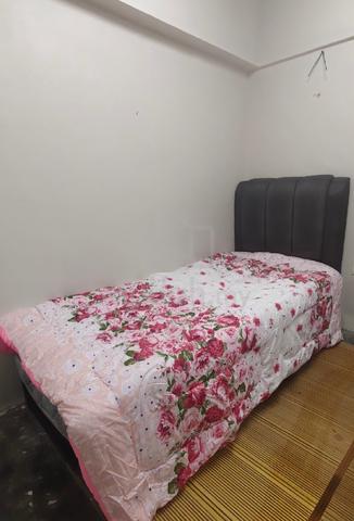 Bilik Sewa LELAKI 10/26 1