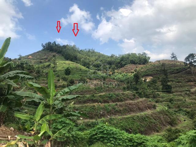 Pahang Bentong Agricultural Freehold Land For Sale 1