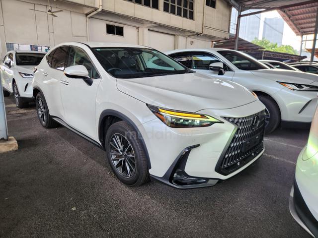 2023 Lexus NX250 360 Camera Power Seat Power Boot - 1