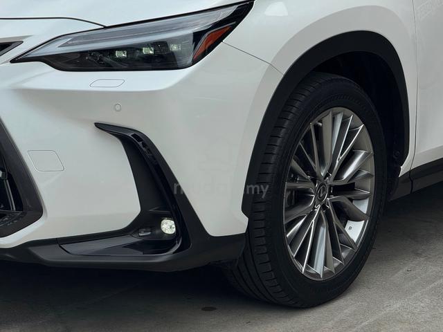 2023 Lexus NX250 2.5 LUXURY MY22 (A) - 2