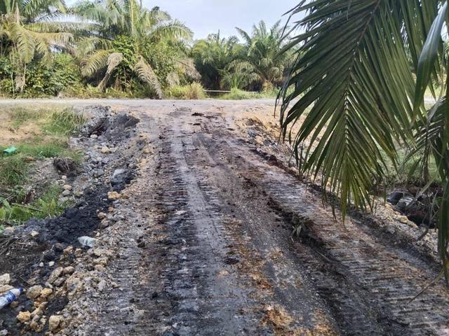 Rare Land Pontian @ Mukim Ayer Baloi Agricultural Land 1