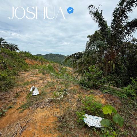 Batu Kurau Palm Oil Estate Land For 6 Acres 1
