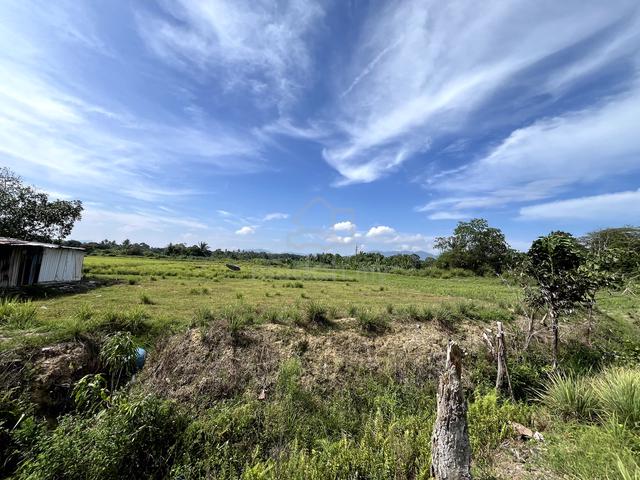 LADANG SERAI Gran Kongsi Freehold Rezab Melayu Sasapan Kelubi BERANANG 1