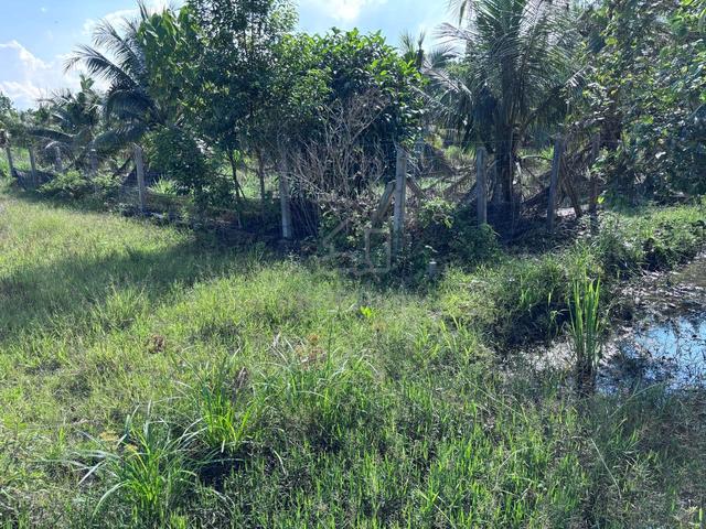 Tanah Pertanian 1ekar di RTK Sri Damai, Kuantan 4