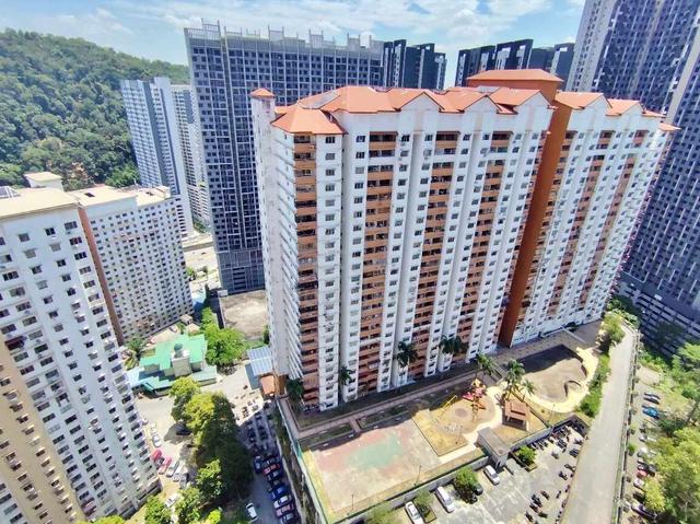 Flora Damansara 1
