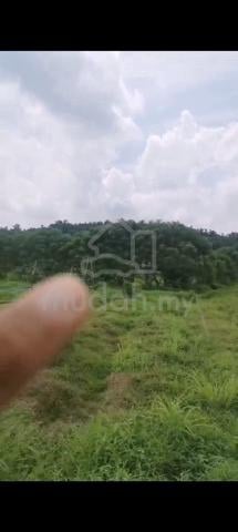 tanah utk dijual ( geran individu) tepi sungai ada jalan ke kebun 1