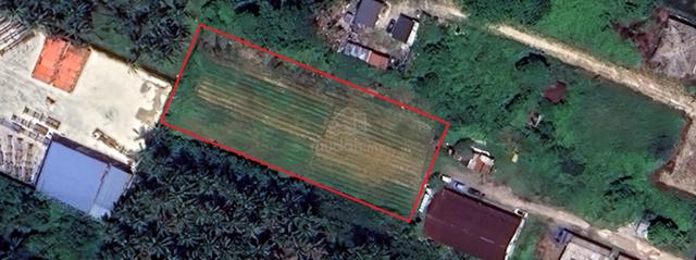 Tanah pertanian 1.5 ekar untuk disewa Jalan Udang Tampang, Teluk Gong 1
