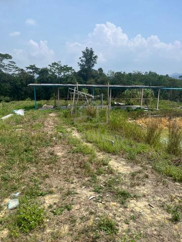 Selangor Semenyih Agricultural Land For Rent 1