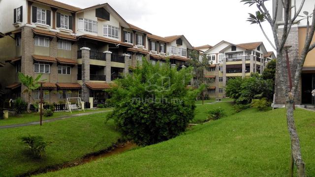 D'rimba Damansara 1
