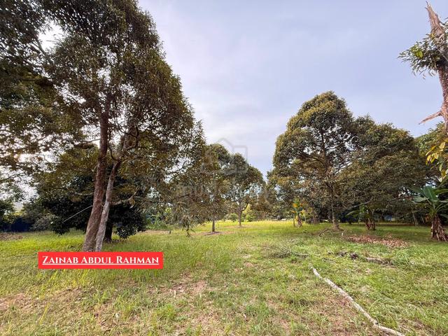 Tanah Dusun Durian Di Kg Sungai Limau, Lunas, Kedah 1