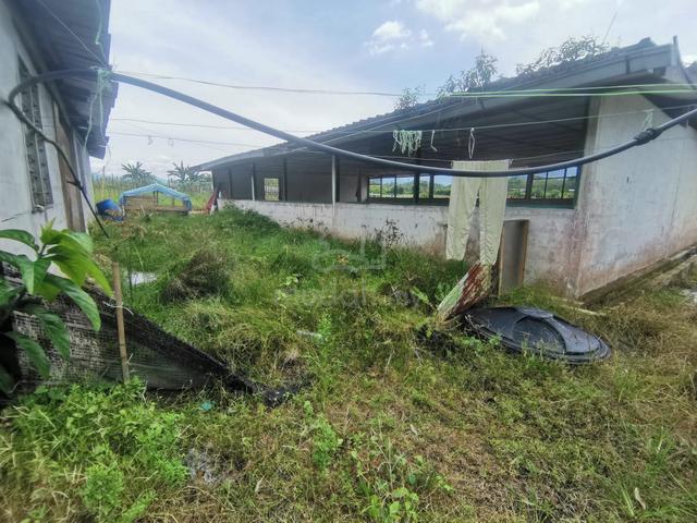 Agriculture Land, Batang Kali 1
