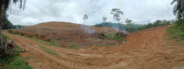 Tanah berbukit di Rembau 3