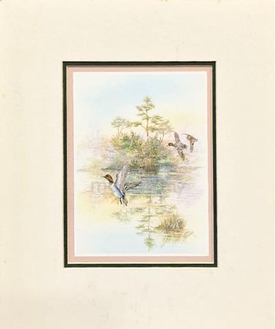 Carousel Image