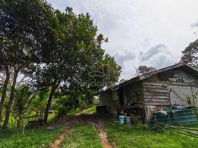 Land For Sale β with fruit trees including durian trees. 1