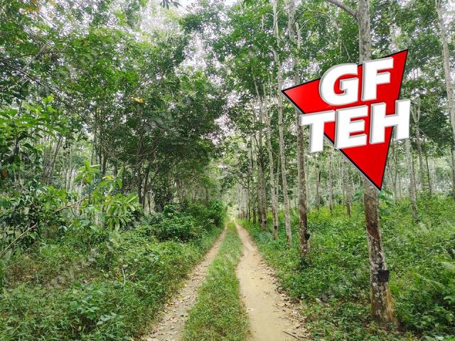 5.03 acres Agricultural Land | Sauk | Perak | For Sale 3.90psf k 2