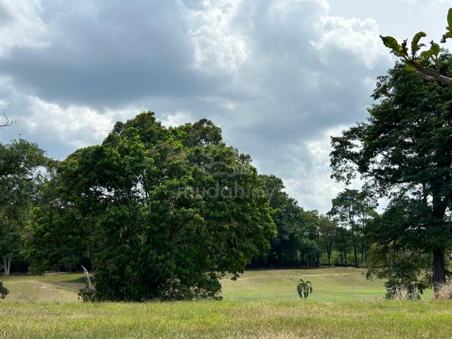 (8880SQFT) Residential Bungalow land, Staffield Country Resort, Mantin 2