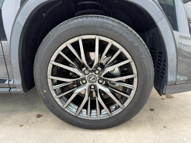2022 Lexus RX300 2.0 F SPORT PANAROMICROOF 4CAMERA - 4
