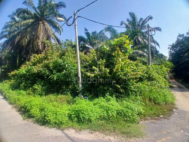 Tanah Pertanian Lokasi Strategik , Bukit Damar , Dengkil 1