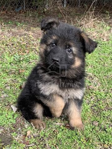 Carousel Image Selected
