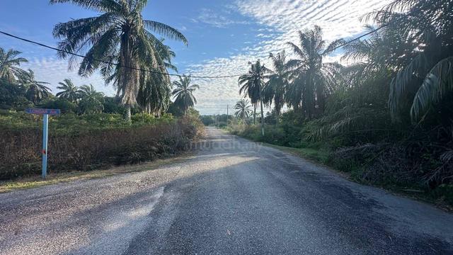 Tanah 1.02ekar Nusa Dusun Kuala Linggi Baru Untuk Dijual 4