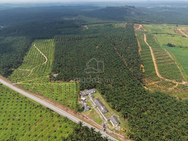 Kota Tinggi Agricultural Land For Sale 1