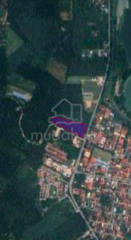 Agricultural land for sale at Tg Tualang 1