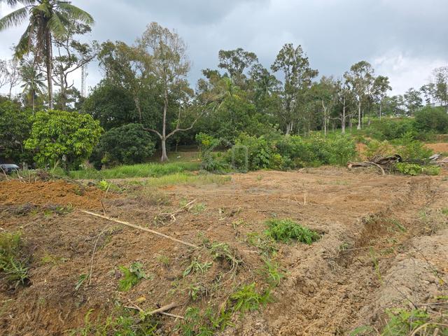 Pahang Kuantan Residential Freehold Land For Sale 1