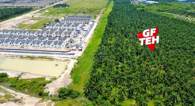 8.51 acre Leasehold Agricultural Land | Tasek Gelugor | Penang 1