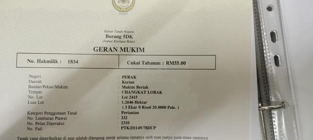 Tanah Sawit Di Jalan Utama Changkat Lobak 1