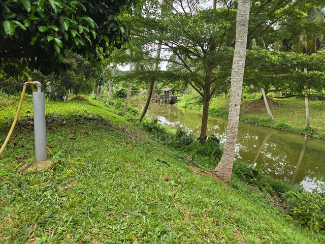 2 Pieces -1 acre Freehold Agriculture Land Pasir Panjang Port Dickson 1
