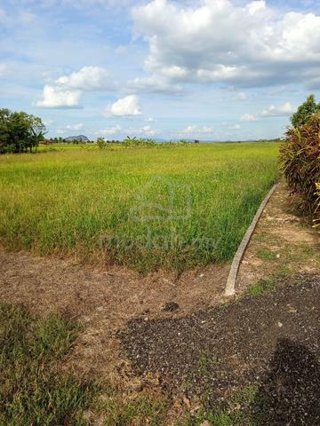 tanah bendang 4.2 relong 1