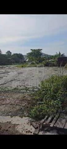 half acre agricultural land pajam mantin negeri sembilan 1