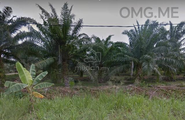 Seri Cheeding Jenjarom 5 Acres Zoning Residential Facing Road 1