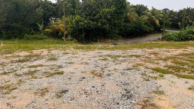 [With TITLE] Freehold Agriculture Land Kuang, Sg Buloh for SALE 1