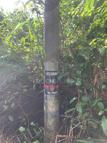 1 Ekar Tanah Kosong Kg Mungka Buloh Kasap Segamat Johor 1