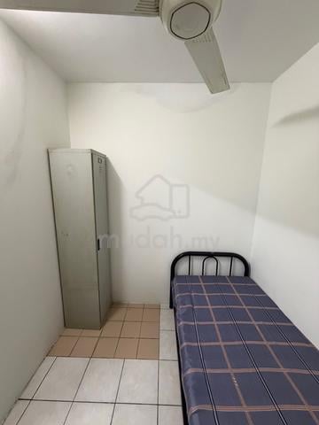 bilik single flora damansara 1