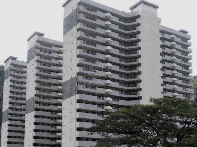 Taman Terubong Indah (Majestic Heights) 1