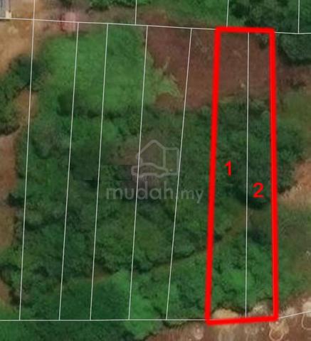 2 LOT TANAH TELOK MAS - individu 1