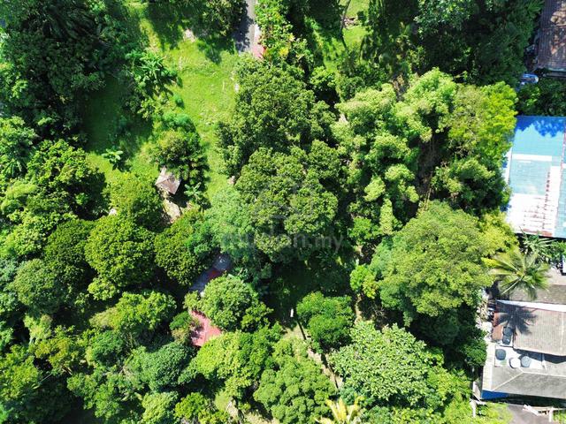 Premium Malay Reserve Land Sungai Penchala Beside Penchala Royal TTDI 2