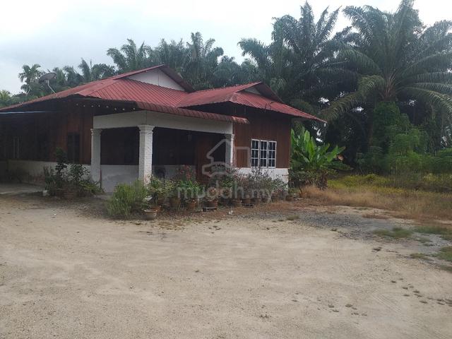 kebun & rumah freehold 1