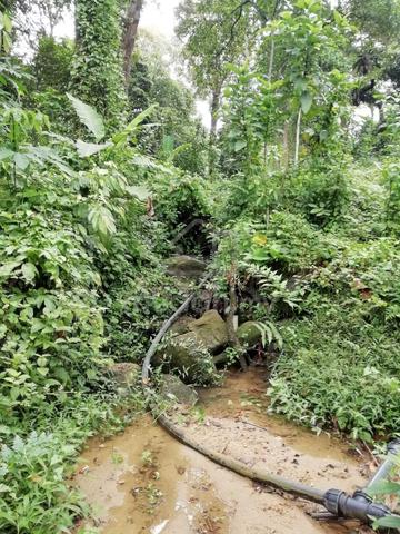 Tanah Dusun atas bukit di Cherok Tokun 4