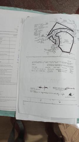 Kudat Land 1